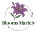 BLOOMS MARIELY